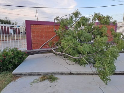 Planteles educativos laboraron sin complicaciones tras tormenta 