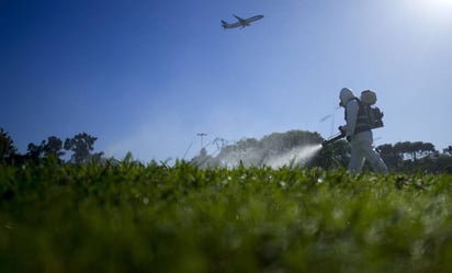 Con 8 millones de casos de dengue, la epidemia en América no tiene precedentes