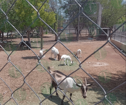 Zoológico Municipal y Ecoparque con nuevos proyectos