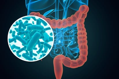 Se registran golpes de calor y padecimientos intestinales