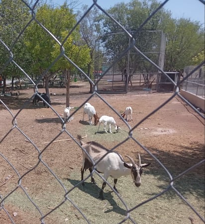 Zoológico y Ecoparque con nuevos proyectos