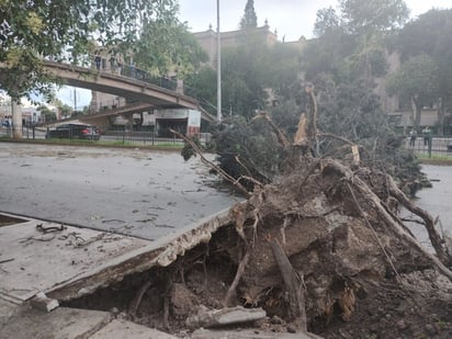 Fuertes vientos azotan Saltillo