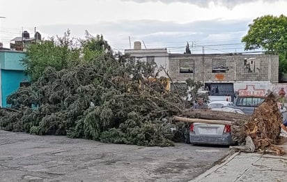 Vientos fuertes azotan Saltillo; ráfagas de 80 km/h