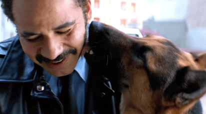 Amor en Netflix: Esta película con perritos te hará llorar aunque no lo quieras: Prepara tus palomitas y las croquetas de tu perrito para una cita conmovedora esta tarde con este éxito de Netflix.