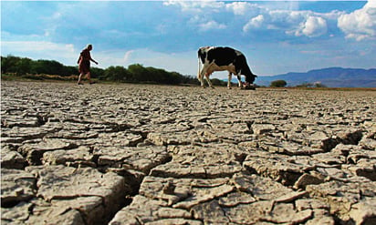 La naturaleza pide cuidados para tener un mejor planeta