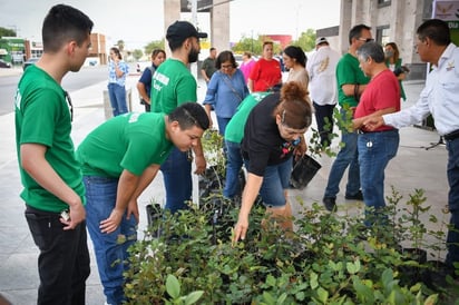 Donan 400 árboles en campaña de reforestación para ayudar al medio ambiente