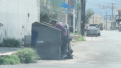 Pepenación: Actividad emergente ante crisis laboral