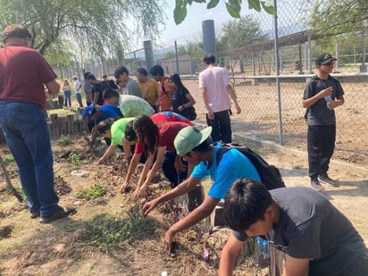 Proyecto 'Jardines para polinizadores' recibe apoyo de voluntarios