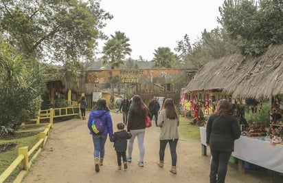 Ataque de perros salvajes en zoológico de Chile deja decenas de animales muertos