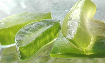 El gel natural que potencia la salud de tus plantas