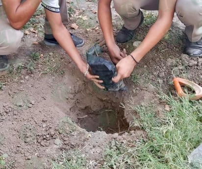 Niños y jóvenes con interés en el medio ambiente 