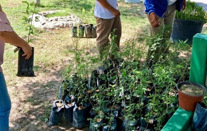 Niños y jóvenes con interés en el medio ambiente 