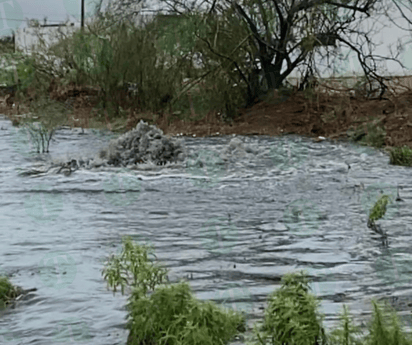 Lluvias provocan brotes de aguas negras en la Feste