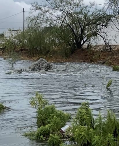 Las lluvias provocan brote de aguas negras en colonia la Festse