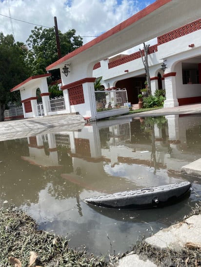 La SS en alerta por riesgo de dengue por lluvias de 'Alberto'  