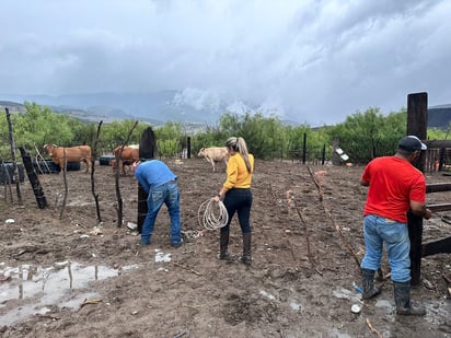 Ejidos de Monclova beneficiados por las lluvias