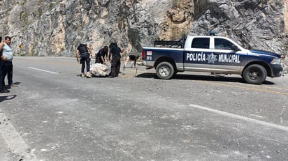 El cariño de la montaña registra deslaves por lluvias y es peligro latente en carretera 30