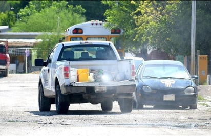 SSa intensifica fumigación en PN y en toda la región