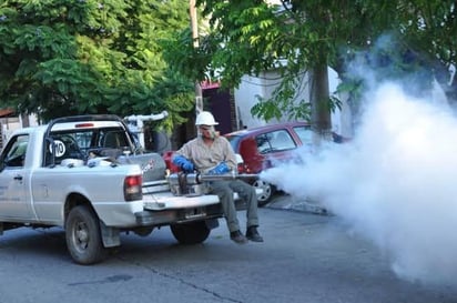 Alerta por casos de dengue en la RN: En Zaragoza hay 2