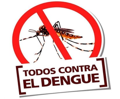 Acciones contra el dengue en Zaragoza continúan