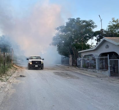 Se anticipa aumento de mosquitos tras lluvias en sureste de Coahuila