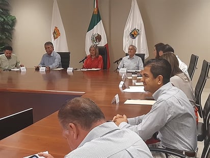 Consejo Urbano aún desconoce proyecto del Puente Verde