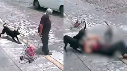 VIDEO: Perros atacan a abuelita en Querétaro