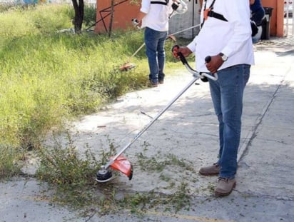 Forestación saturada con solicitudes de limpieza tras lluvias