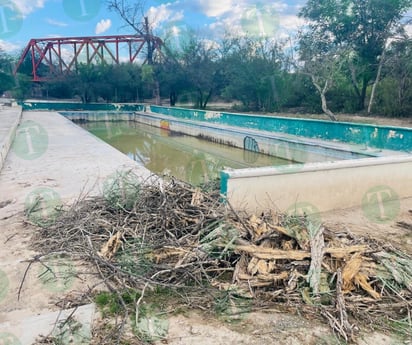 Parque Santa Cecilia de Castaños en el ecocidio por la tala de árboles