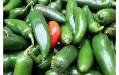 ¿Gusto por el picante? Suben precios de chiles 38%