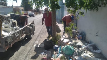 Persiste la lucha intensiva contra el dengue en Zaragoza 