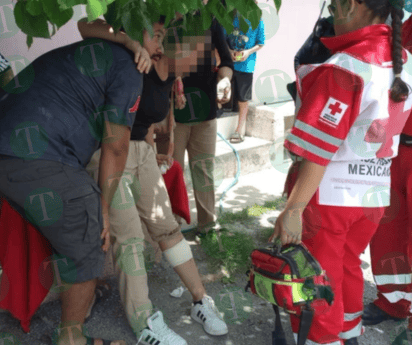 Policiaca : Control canino del municipio brilló por su ausencia