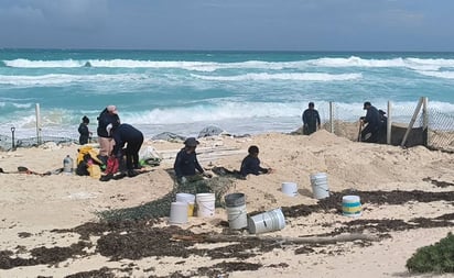 Tormentas huracanes : La funcionaria explicó que solo se trasladaron los corrales que se consideró corrían riesgo por la elevación de la marea.