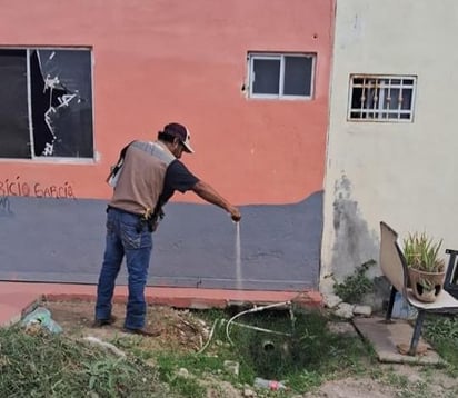 Prevención del dengue en PN y la frontera: Fumigaciones intensas