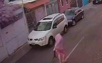 VIDEO: Sujeto lanza al aire un gato en Querétaro