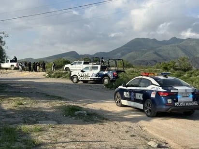 Operativos conjuntos detectan armas y drogas