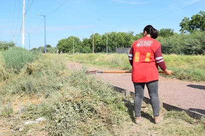 REGION: Durante esta iniciativa, equipos de diferentes departamentos municipales llevaron a cabo tareas