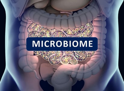 SALUD: El microbioma intestinal de una persona podría empeorar su pronóstico después de un trasplante de órganos