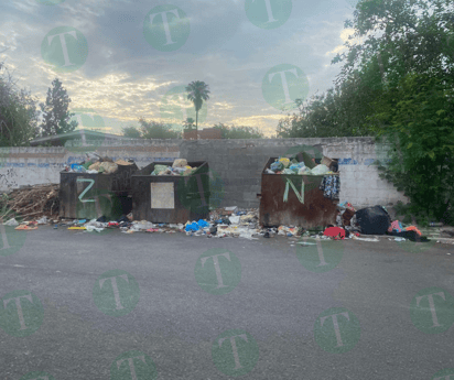 Basura : Depositar residuos se ha vuelto complicado
