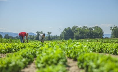 SALUD: Las autoridades sanitarias están en alerta constante