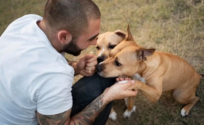 SALUD: Este vínculo humano-animal promueve la liberación de hormonas como la oxitocina, vasopresina y endorfinas