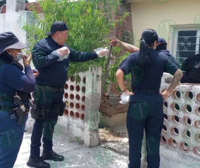 Policiaca : Vecinos alertaron sobre los olores desagradables que salían de la casa de Francisco.