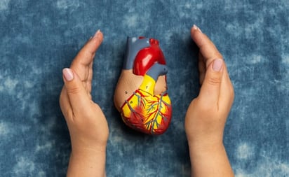 SALUD: En 2019, más de 2 millones de personas en el mundo perdieron la vida debido a enfermedades cardiovasculares