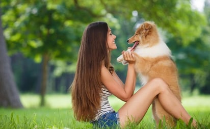 SALUD: La zoonosis se refiere a cualquier enfermedad que puede ser transmitida de animales a humanos