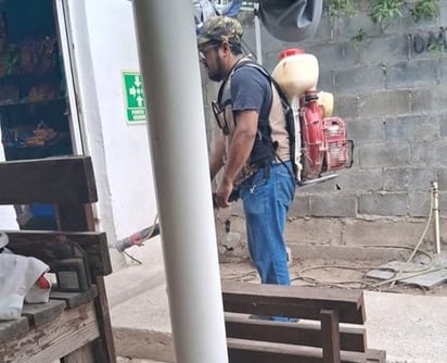 Es esencial que las personas que fumigan en la ciudad actúen con responsabilidad