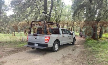 Tlaxcala: Los cuerpos fueron encontrados sobre un camino de terracería de una zona boscosa perteneciente a la Sección Cuarta de Tenancingo