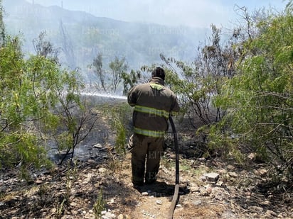 monclova: El arroyo, que colinda con Monclova y Frontera, está en condiciones críticas
