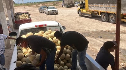 REGION: Este recurso apoyará a los productores de melón y sandía del municipio.
