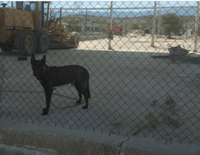 monclova: Preocupación aumenta con el regreso a clases cerca de una escuela.
