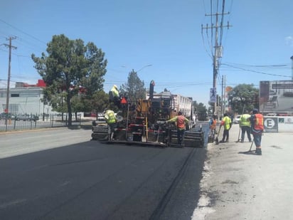 Saltillo: Proponen realizar obras de repavimentación nocturnas en Saltillo para proteger árboles del bulevar Venustiano Carranza